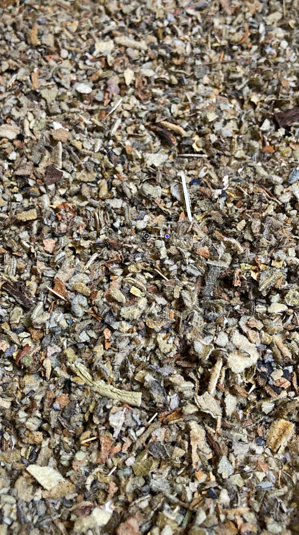 Mullein Leaves .5 oz - Organic Herbs | Cut & Sifted